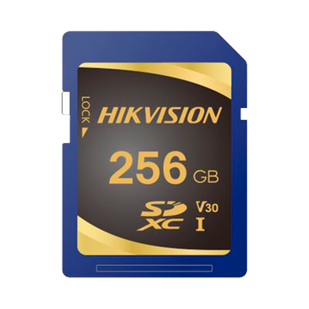 GH-SD-P10STD-256G