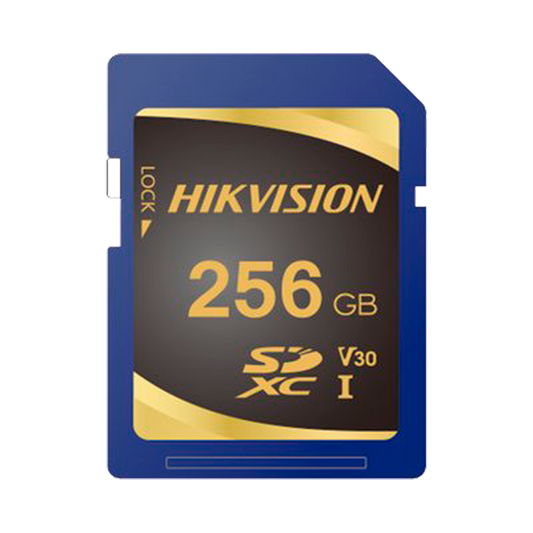 GH-SD-P10STD-256G